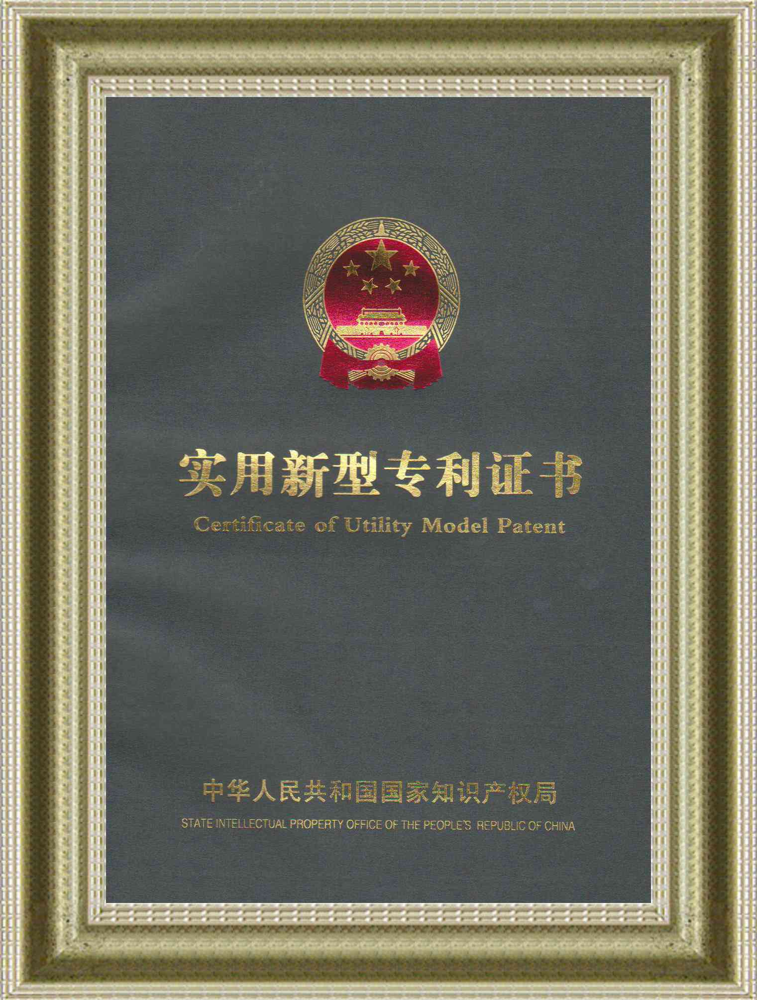 ����ר��֤��